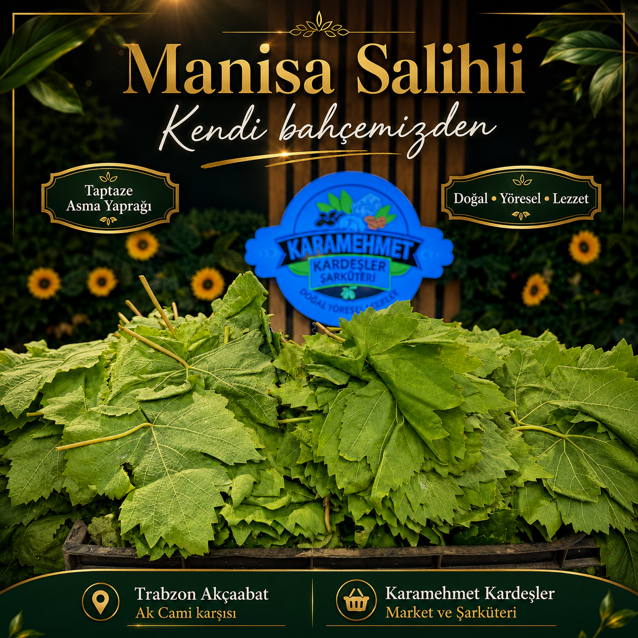Manisa Salihli Üzüm Yaprağı
